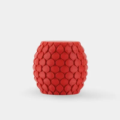 SUNLU High Speed Matte PETG — Red