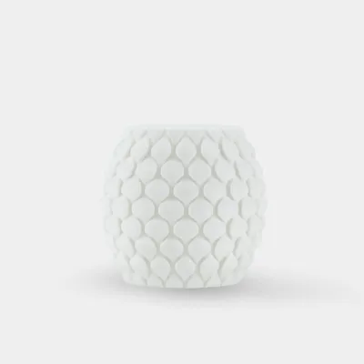 SUNLU High Speed Matte PETG — White