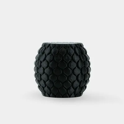 SUNLU PETG — Black