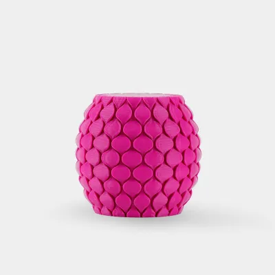 SUNLU PETG — Magenta