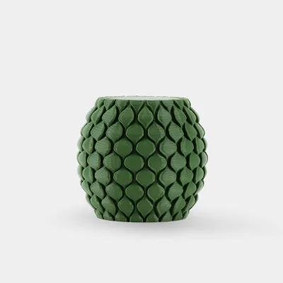 SUNLU PETG — Olive Green