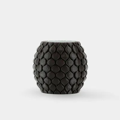 SUNLU PETG — Roasted Chestnut