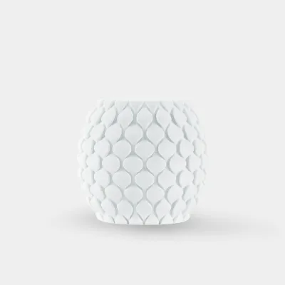 SUNLU PETG — White